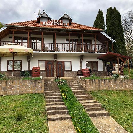 Villa Balconlux - Zavojsko Jezero, פירוט מראה חיצוני תמונה