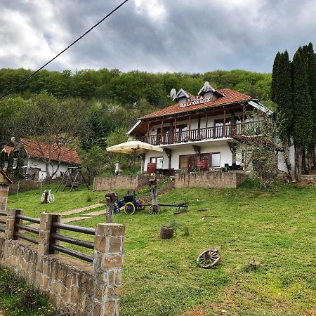 Villa Balconlux - Zavojsko Jezero, פירוט מראה חיצוני תמונה
