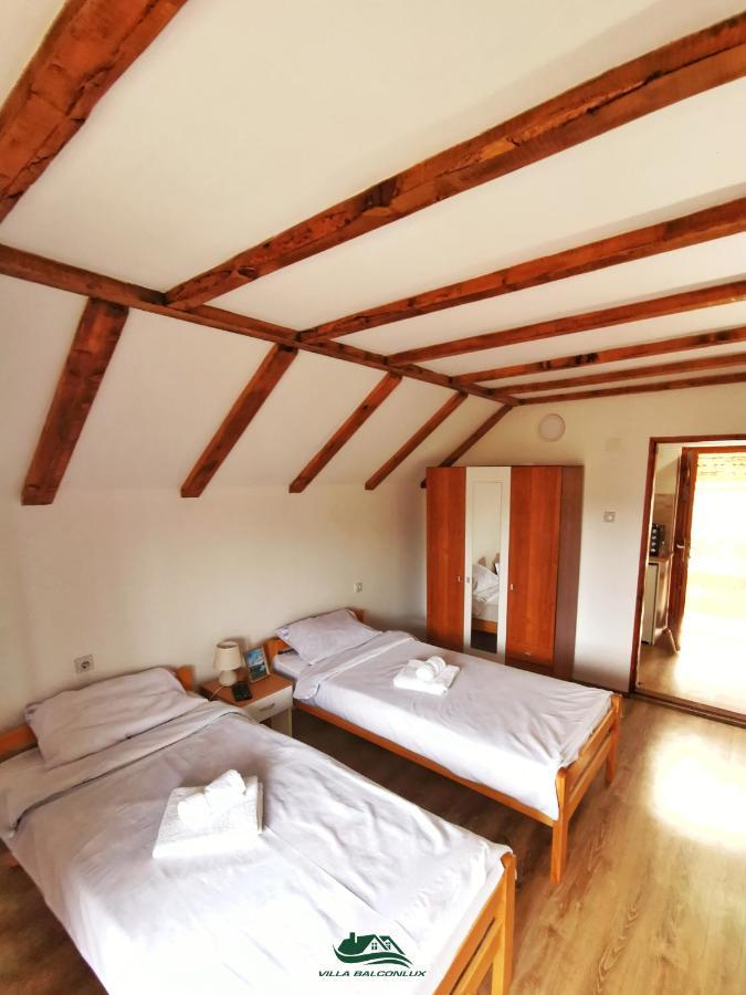 Villa Balconlux - Zavojsko Jezero, פירוט מראה חיצוני תמונה
