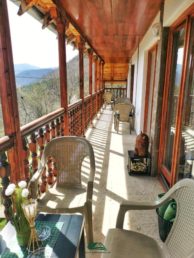 Villa Balconlux - Zavojsko Jezero, פירוט מראה חיצוני תמונה