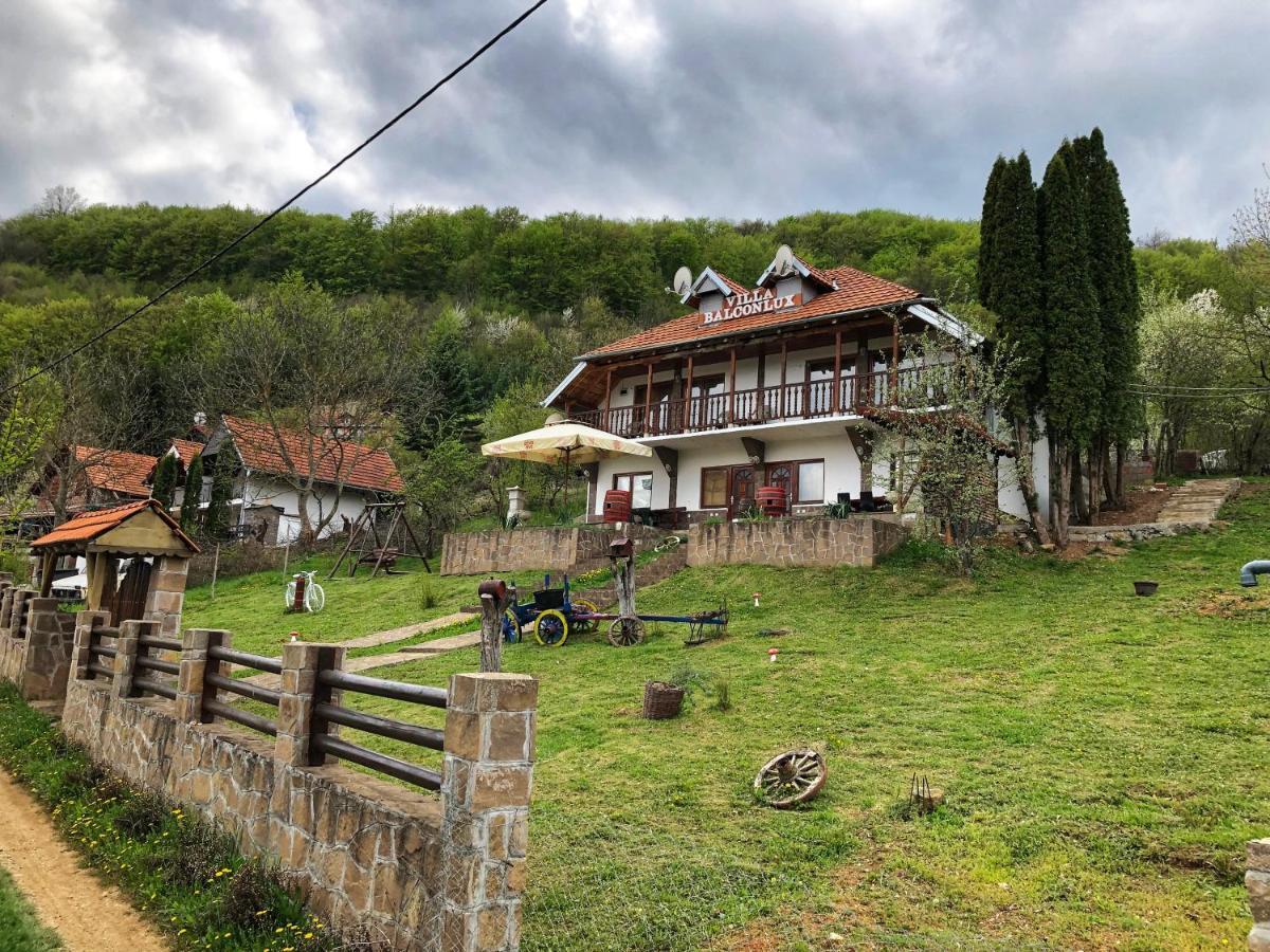 Villa Balconlux - Zavojsko Jezero, פירוט מראה חיצוני תמונה